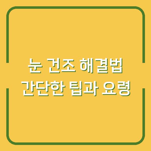 눈 건조 해결법 간단한 팁과 요령