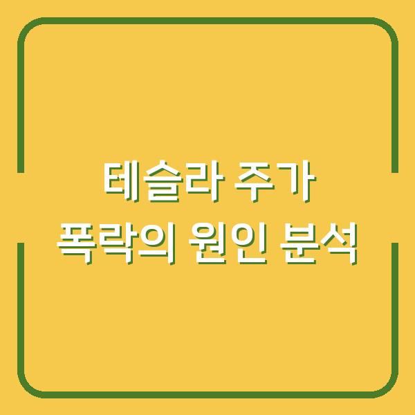 테슬라 주가 폭락의 원인 분석