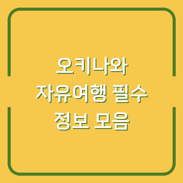 오키나와 자유여행 필수 정보 모음