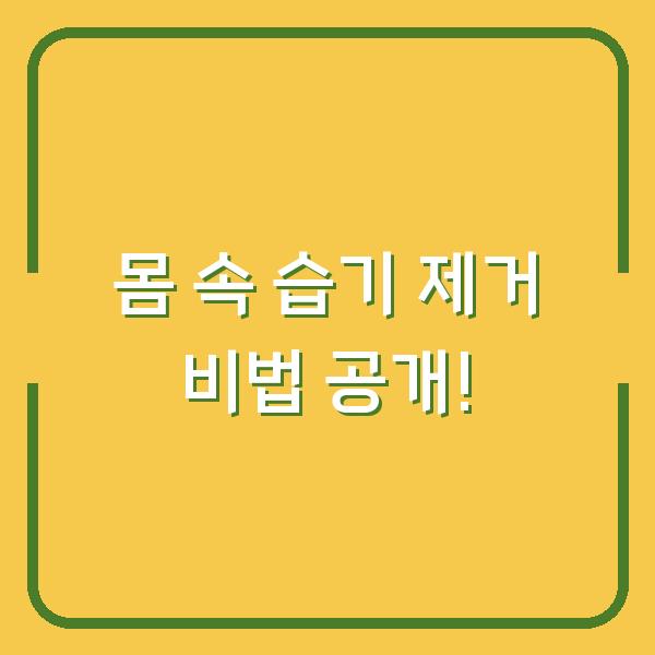 몸 속 습기 제거 비법 공개!