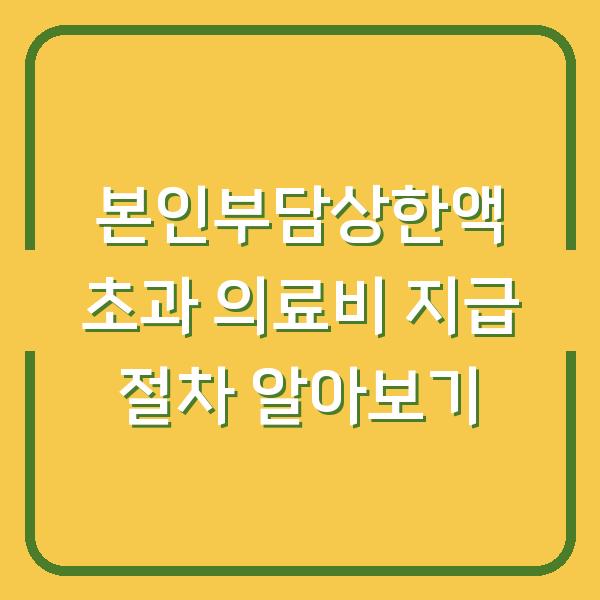 본인부담상한액 초과 의료비 지급 절차 알아보기