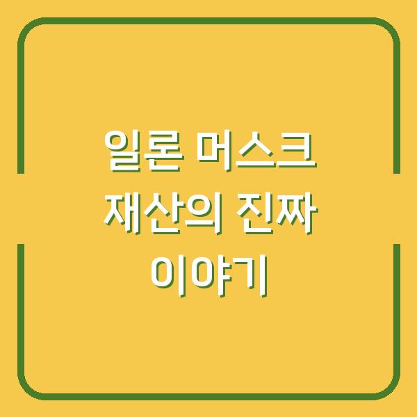 일론 머스크 재산의 진짜 이야기