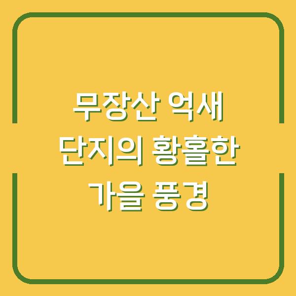 무장산 억새 단지의 황홀한 가을 풍경