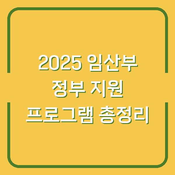 2025 임산부 정부 지원 프로그램 총정리