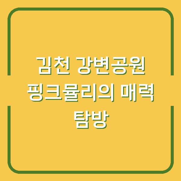 김천 강변공원 핑크뮬리의 매력 탐방