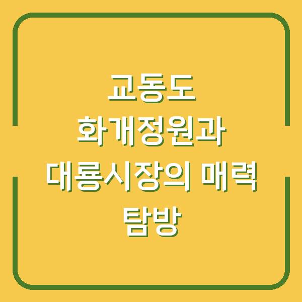 교동도 화개정원과 대룡시장의 매력 탐방