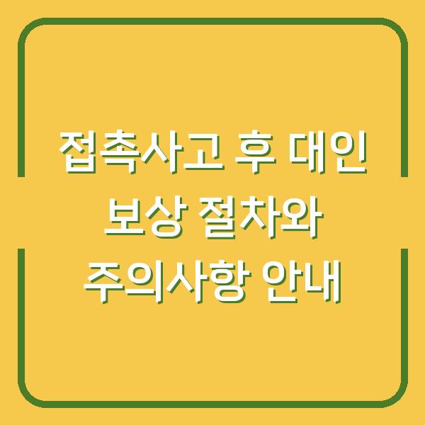 접촉사고 후 대인 보상 절차와 주의사항 안내