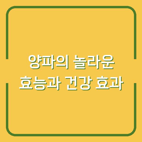 양파의 놀라운 효능과 건강 효과