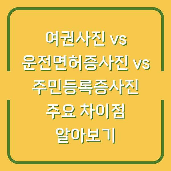 여권사진 vs 운전면허증사진 vs 주민등록증사진 주요 차이점 알아보기