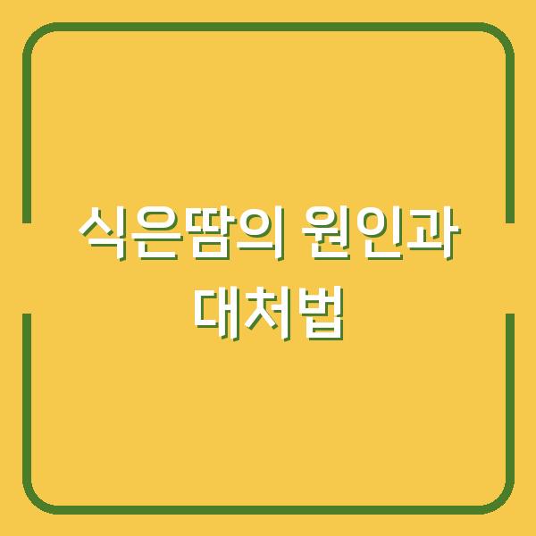 식은땀의 원인과 대처법