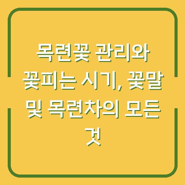 목련꽃 관리와 꽃피는 시기, 꽃말 및 목련차의 모든 것