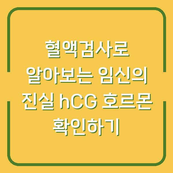 혈액검사로 알아보는 임신의 진실 hCG 호르몬 확인하기