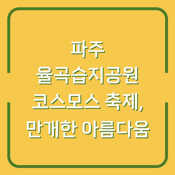 파주 율곡습지공원 코스모스 축제, 만개한 아름다움