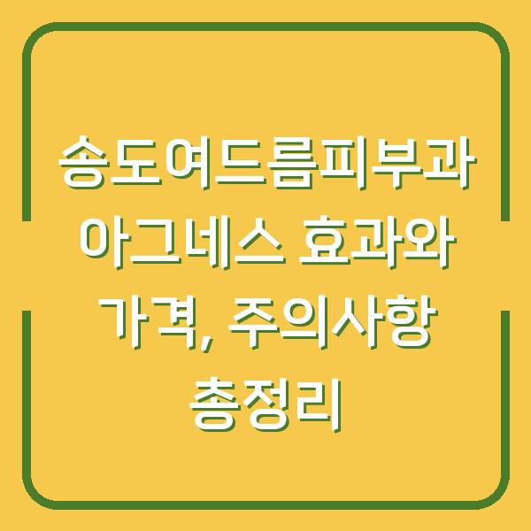 송도여드름피부과 아그네스 효과와 가격, 주의사항 총정리