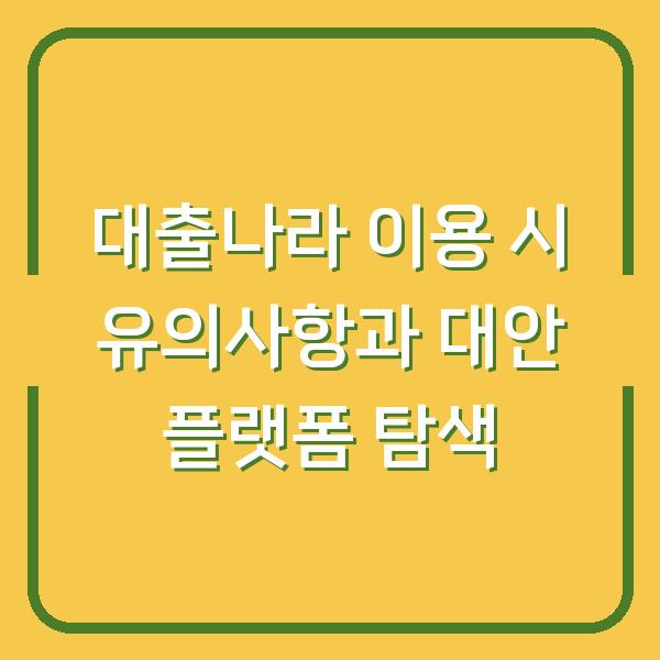 대출나라 이용 시 유의사항과 대안 플랫폼 탐색