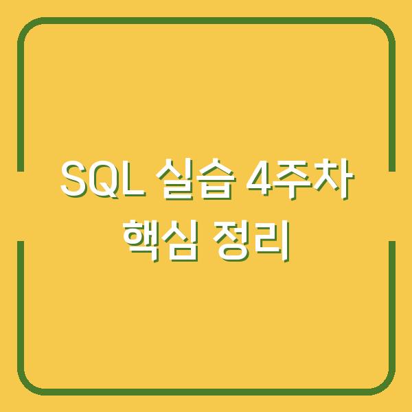 SQL 실습 4주차 핵심 정리