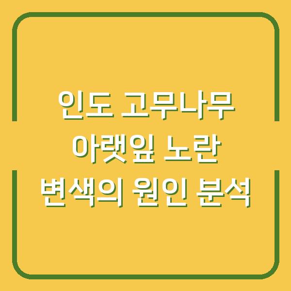 인도 고무나무 아랫잎 노란 변색의 원인 분석