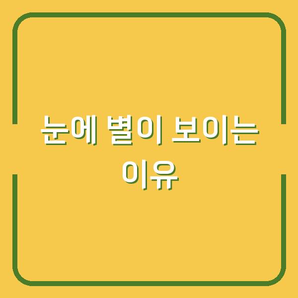 눈에 별이 보이는 이유