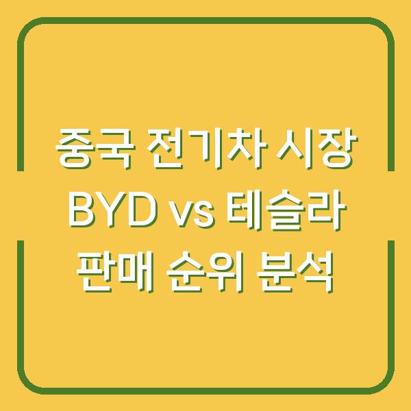 중국 전기차 시장 BYD vs 테슬라 판매 순위 분석