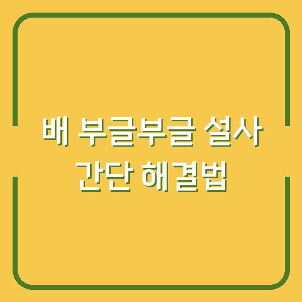 배 부글부글 설사 간단 해결법