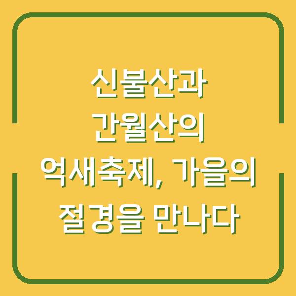 신불산과 간월산의 억새축제, 가을의 절경을 만나다