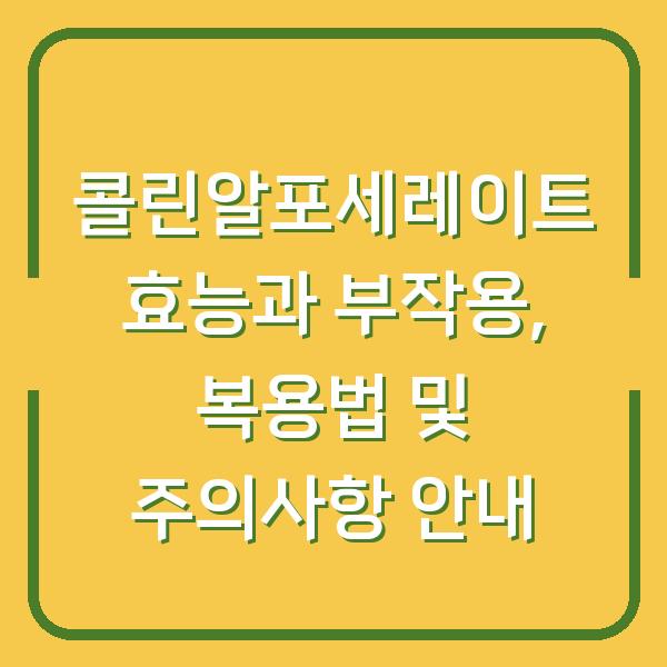콜린알포세레이트 효능과 부작용, 복용법 및 주의사항 안내