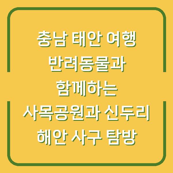 충남 태안 여행 반려동물과 함께하는 사목공원과 신두리 해안 사구 탐방
