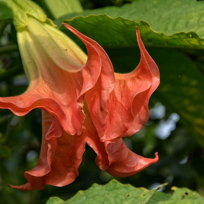엔젤넘버 1111