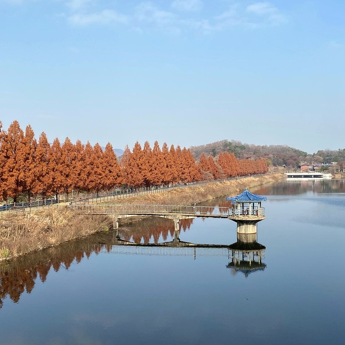 서울대공원 자연