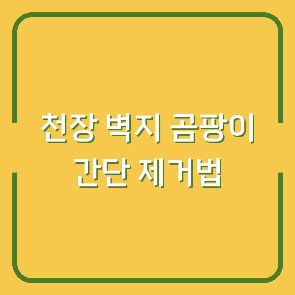 천장 벽지 곰팡이 간단 제거법