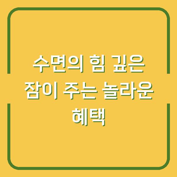 수면의 힘 깊은 잠이 주는 놀라운 혜택