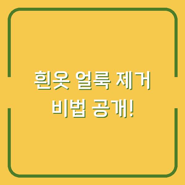 흰옷 얼룩 제거 비법 공개!