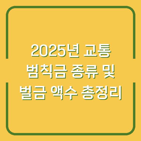 2025년 교통 범칙금 종류 및 벌금 액수 총정리