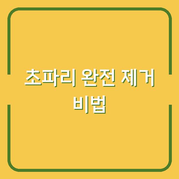 초파리 완전 제거 비법
