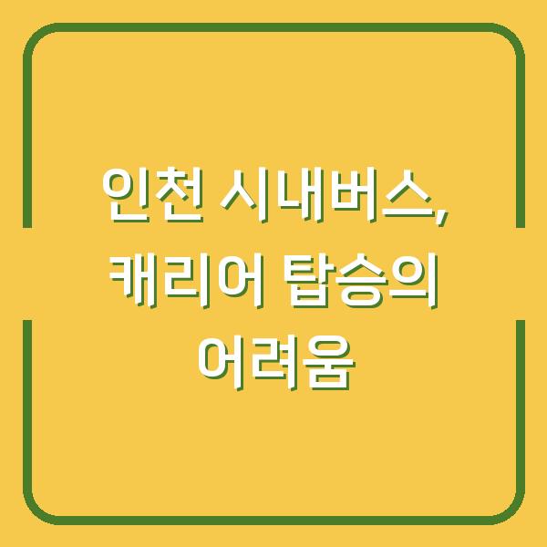 인천 시내버스, 캐리어 탑승의 어려움