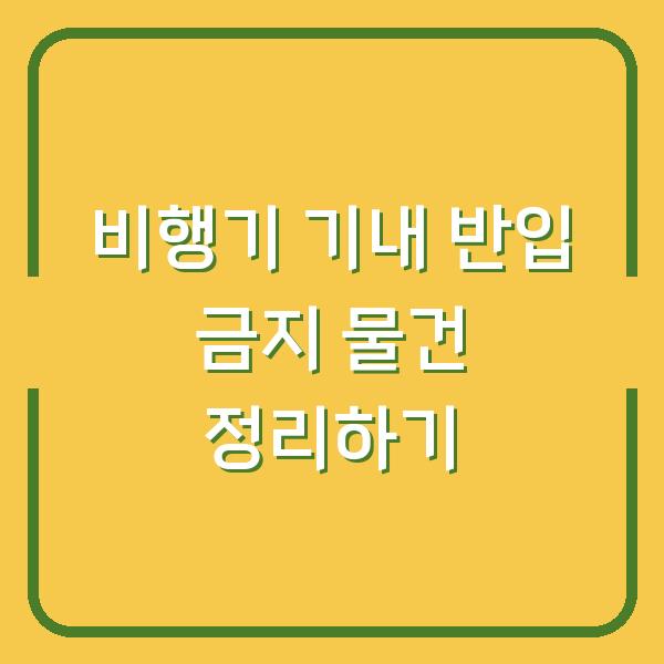 비행기 기내 반입 금지 물건 정리하기