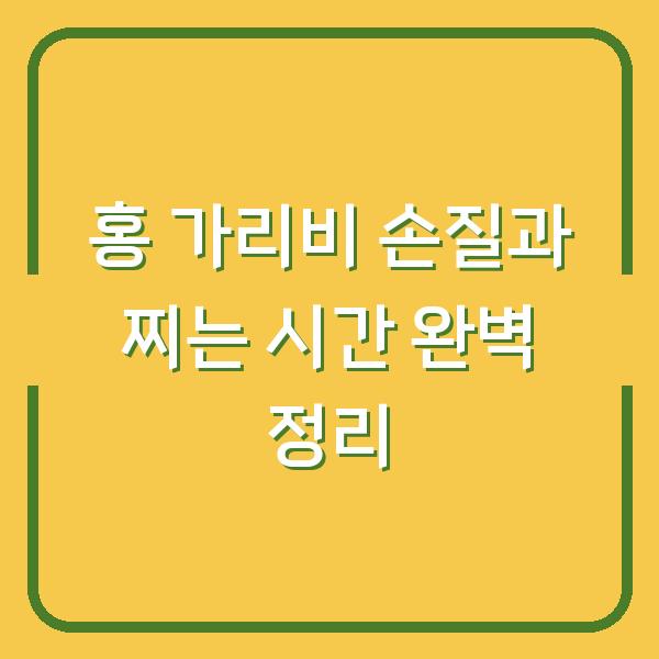 홍 가리비 손질과 찌는 시간 완벽 정리