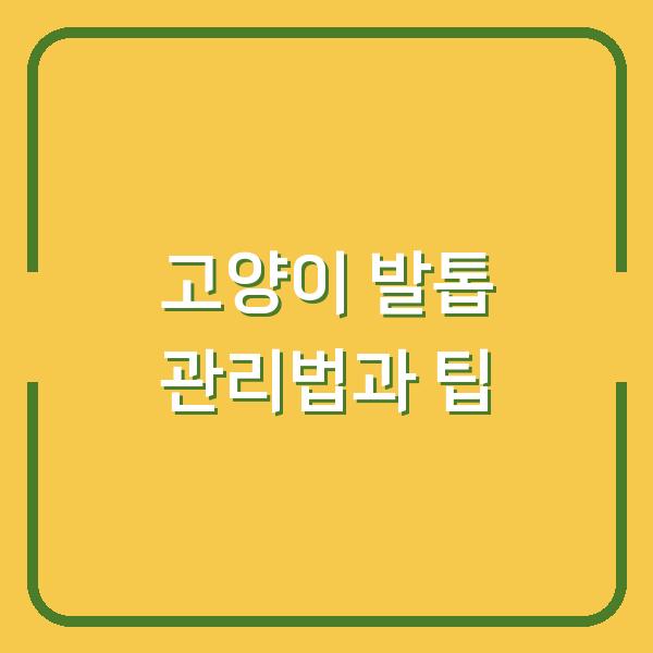 고양이 발톱 관리법과 팁