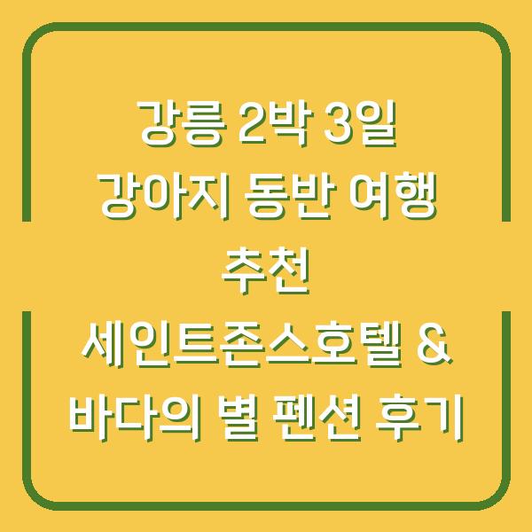강릉 2박 3일 강아지 동반 여행 추천 세인트존스호텔 & 바다의 별 펜션 후기