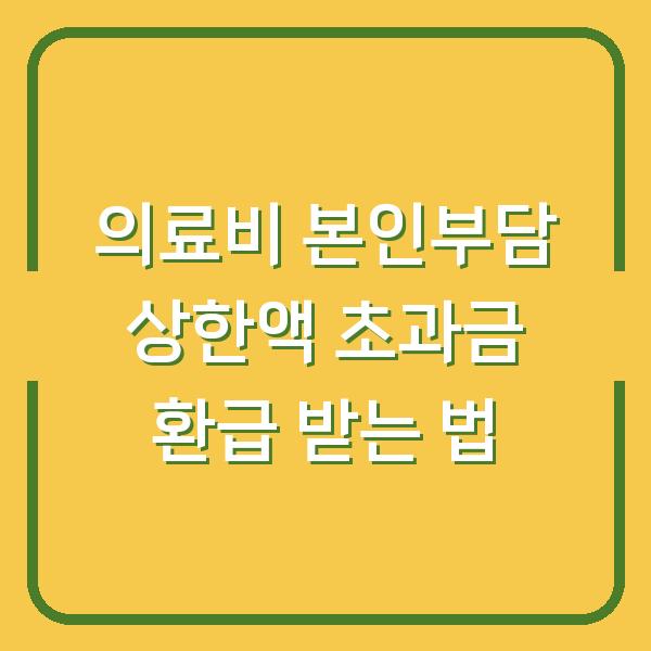 의료비 본인부담 상한액 초과금 환급 받는 법