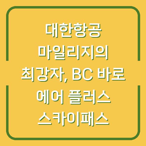 대한항공 마일리지의 최강자, BC 바로 에어 플러스 스카이패스