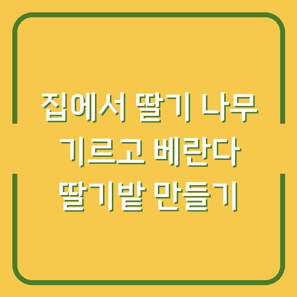 집에서 딸기 나무 기르고 베란다 딸기밭 만들기