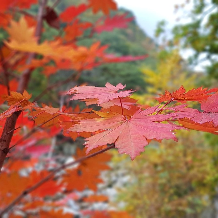설악산 경치