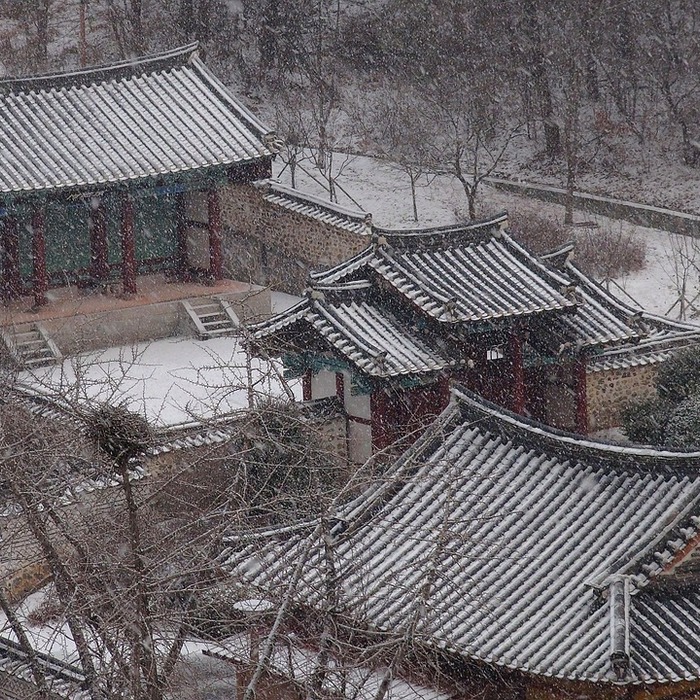 조선 왕족