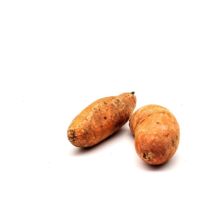 고구마 요리