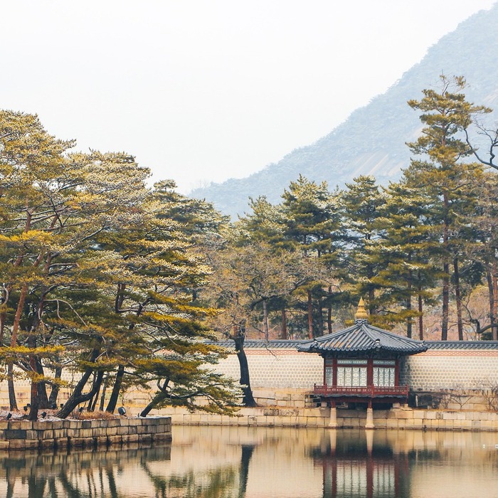티샷 장면