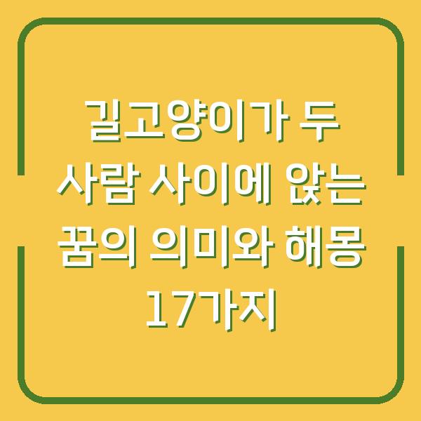 길고양이가 두 사람 사이에 앉는 꿈의 의미와 해몽 17가지