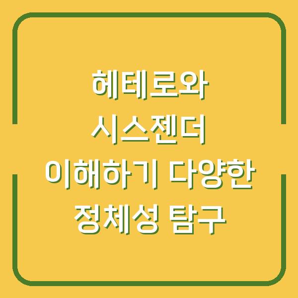 헤테로와 시스젠더 이해하기 다양한 정체성 탐구