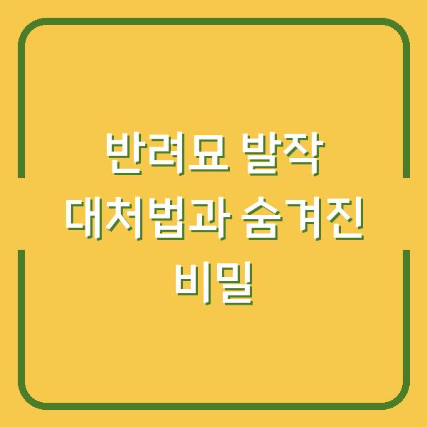 반려묘 발작 대처법과 숨겨진 비밀