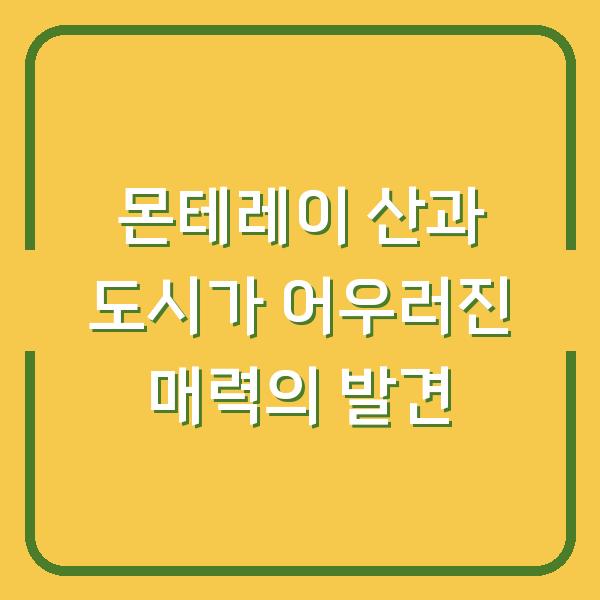 몬테레이 산과 도시가 어우러진 매력의 발견